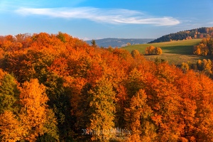 Farbfoto des Herbstes