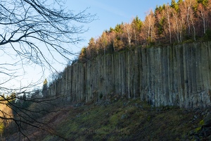 Freistehende Basaltsäulen des Scheibenbergs
