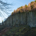 Freistehende Basaltsäulen des Scheibenbergs